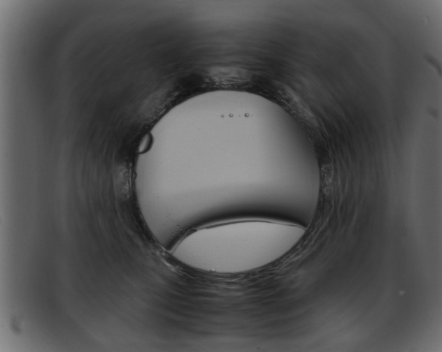 X0000093390471200710111351