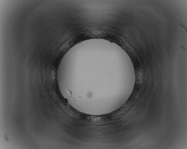 X0000093390472200710111351