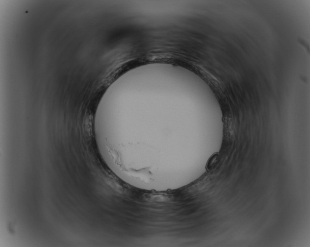 X0000093390475200710111351