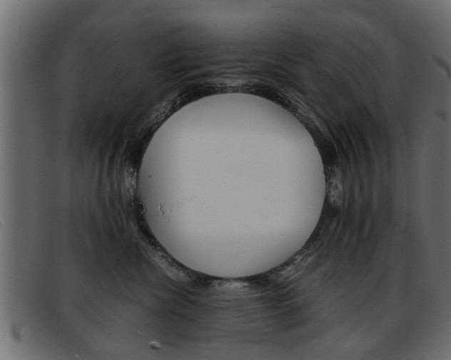 X0000093390476200710111351
