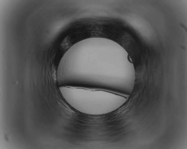 X0000093390479200710111351