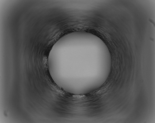 X0000093390480200710111351