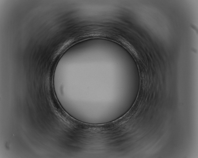 X0000093390482200710111350