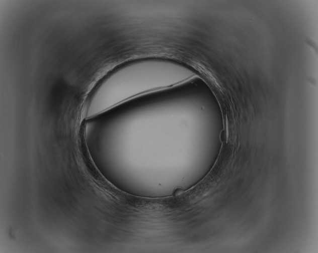 X0000093390483200710111350