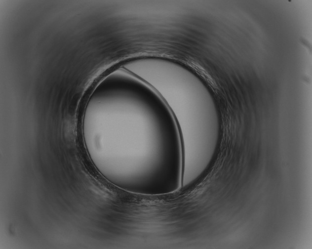 X0000093390484200710111350
