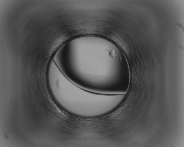 X0000093390485200710111350