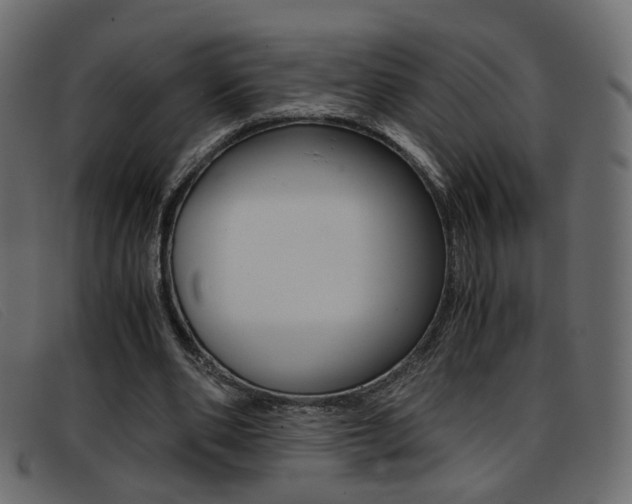 X0000093390486200710111350
