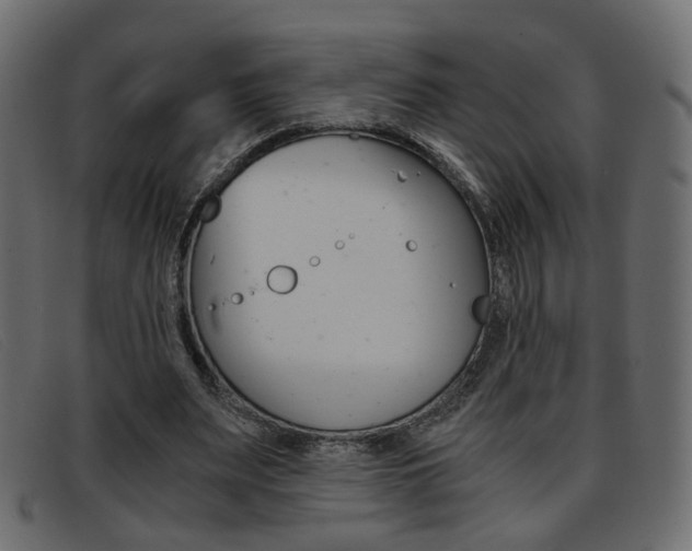X0000093390487200710111350