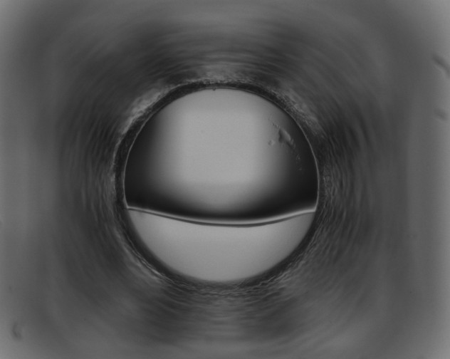 X0000093390488200710111350