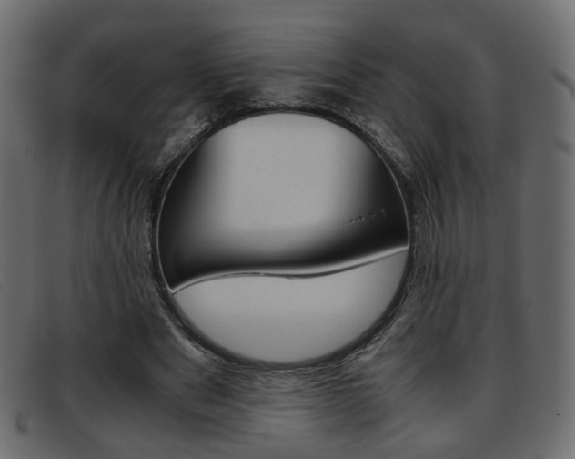 X0000093390489200710111350