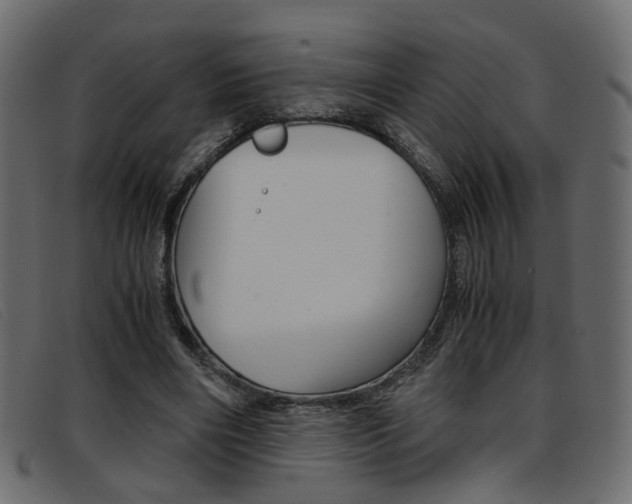 X0000093390490200710111350