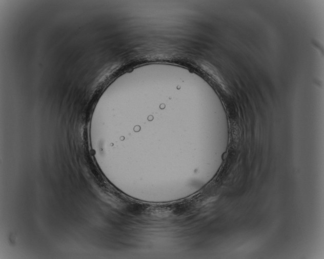 X0000093390491200710111350