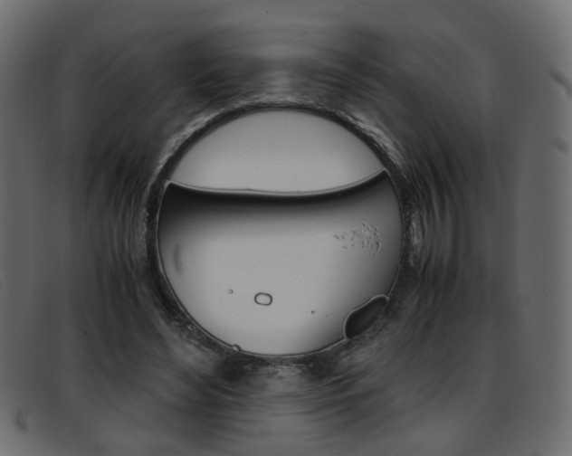 X0000093390492200710111350