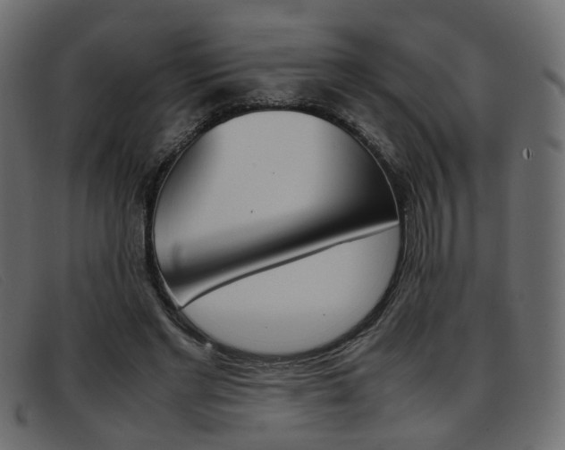 X0000093390493200710111350