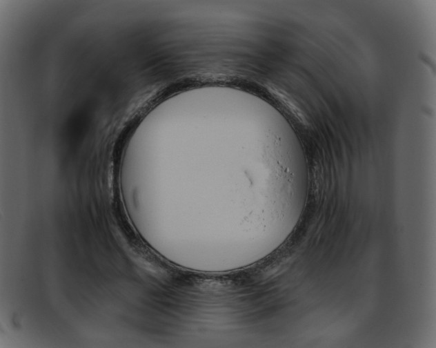 X0000093390494200710111350