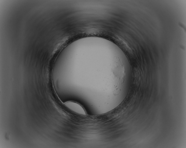 X0000093390496200710111350