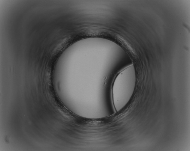 X0000093390497200710111350