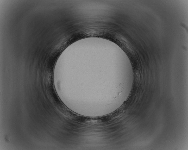 X0000093390499200710111350