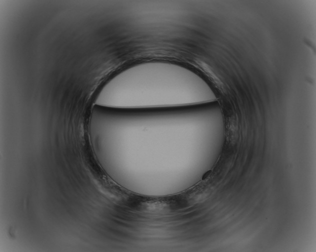 X0000093390500200710111350