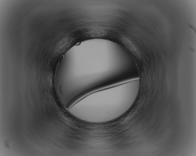 X0000093390501200710111350