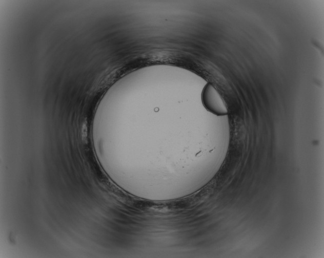X0000093390502200710111350