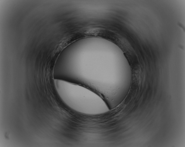 X0000093390504200710111350