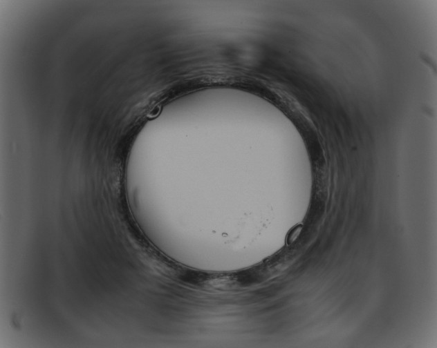 X0000093390505200710111350