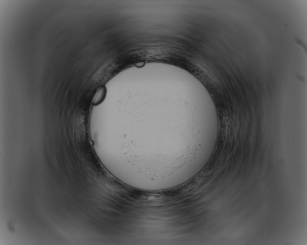 X0000093390506200710111350