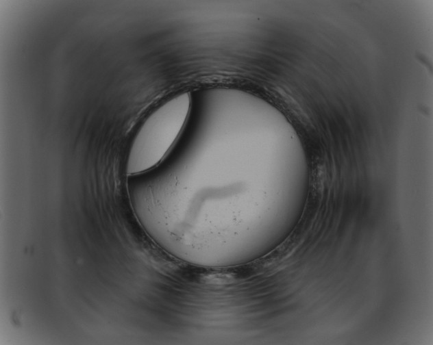 X0000093390508200710111350