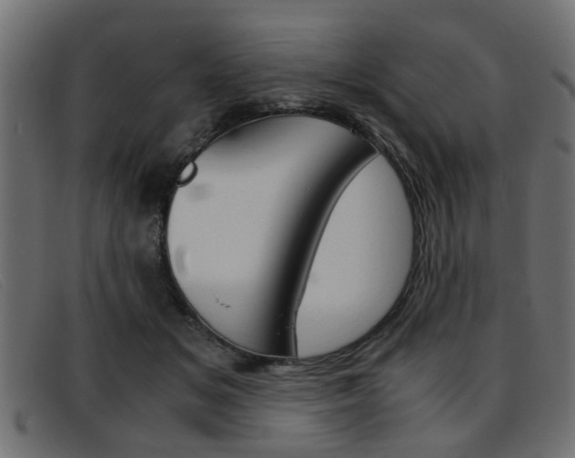 X0000093390509200710111350