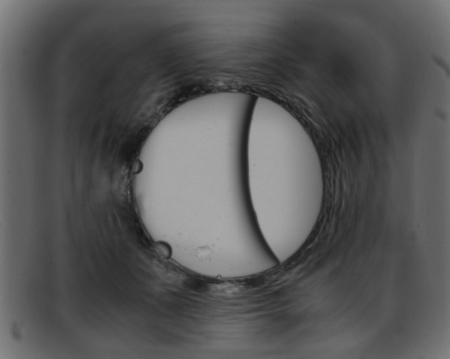 X0000093390511200710111350