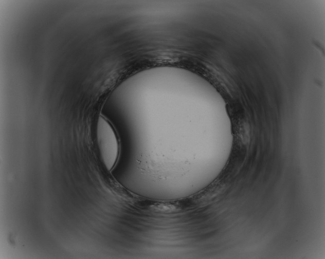 X0000093390512200710111350