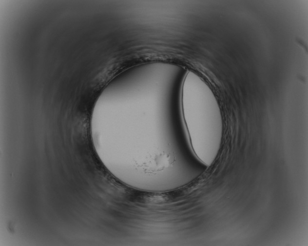 X0000093390513200710111350