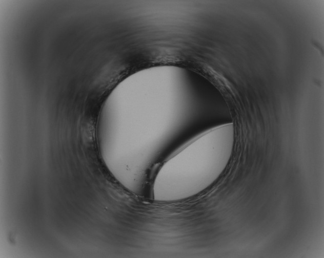 X0000093390517200710111350