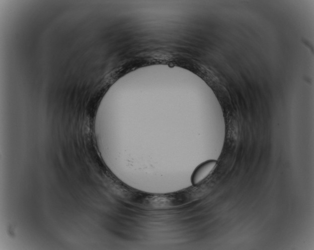 X0000093390518200710111350