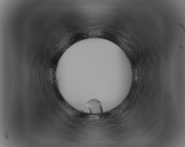 X0000093390519200710111350