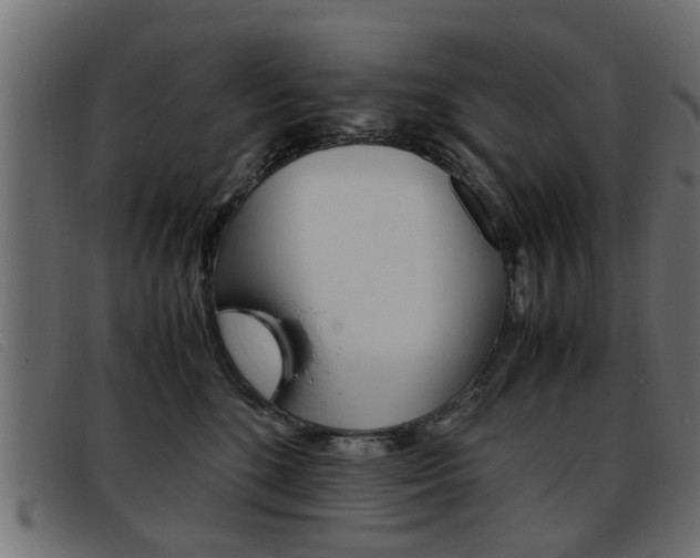 X0000093390520200710111350