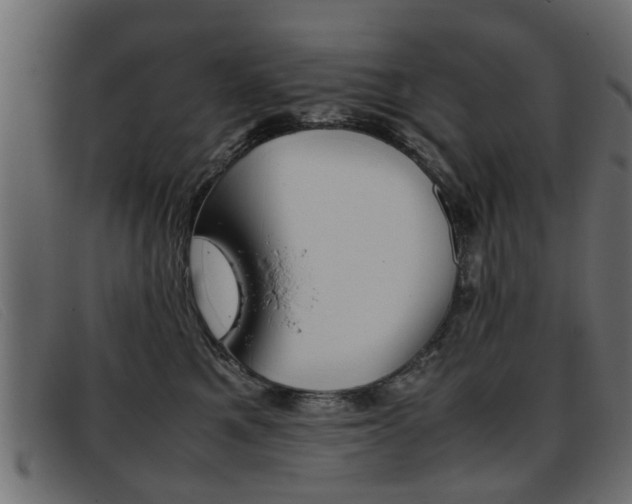 X0000093390521200710111350