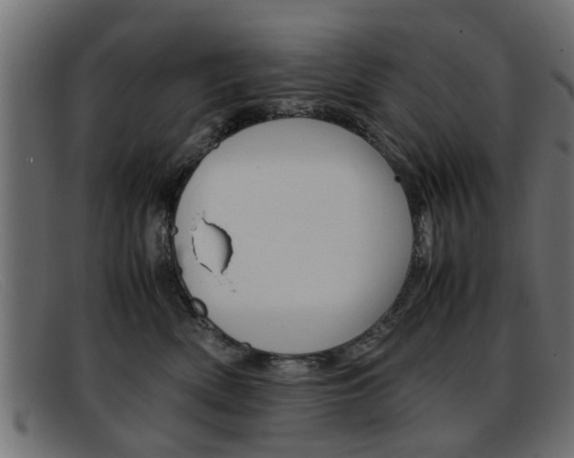 X0000093390522200710111350