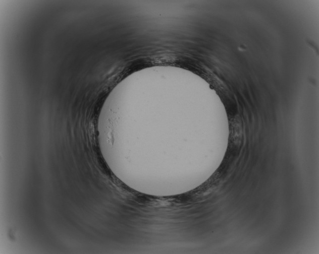 X0000093390523200710111350