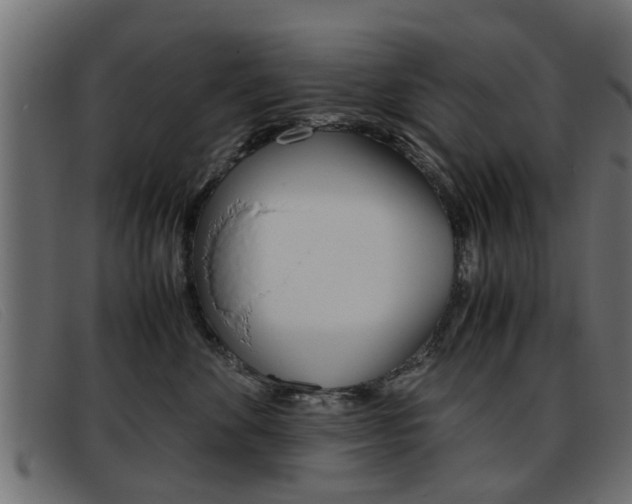 X0000093390524200710111350
