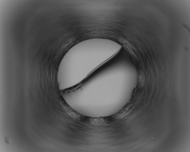 X0000093390525200710111350