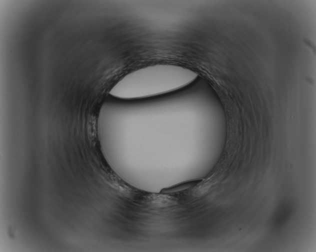 X0000093390528200710111350