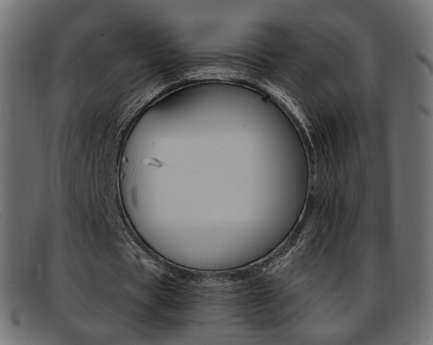 X0000093390529200710111349