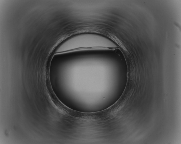 X0000093390530200710111349