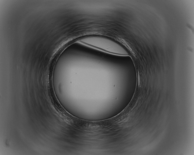 X0000093390531200710111349