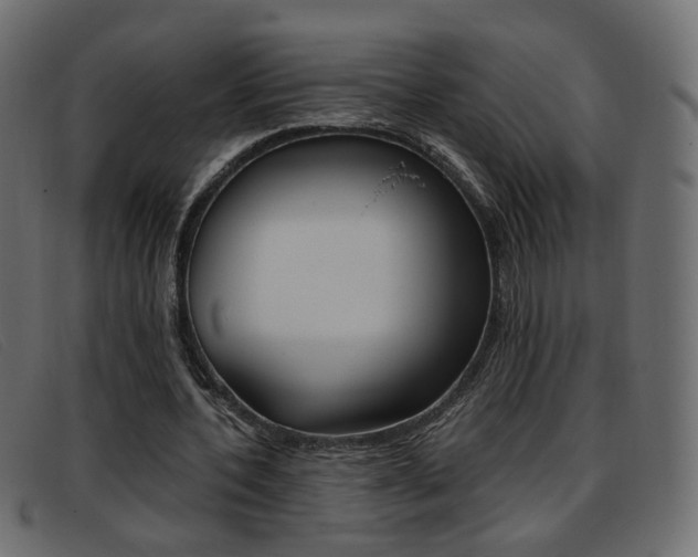 X0000093390532200710111349