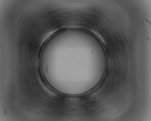 X0000093390533200710111349