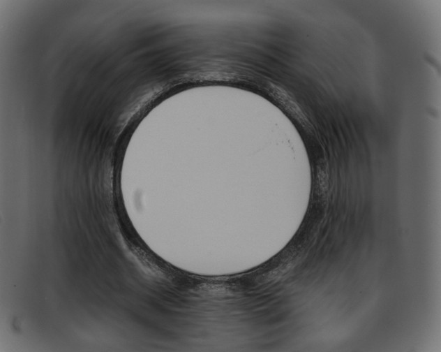 X0000093390534200710111349
