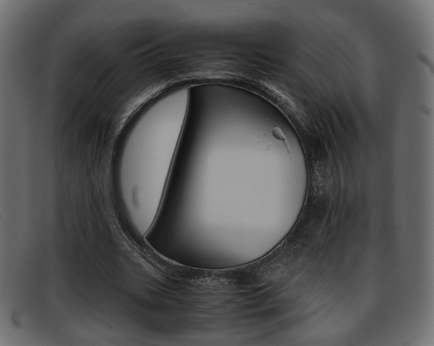 X0000093390535200710111349